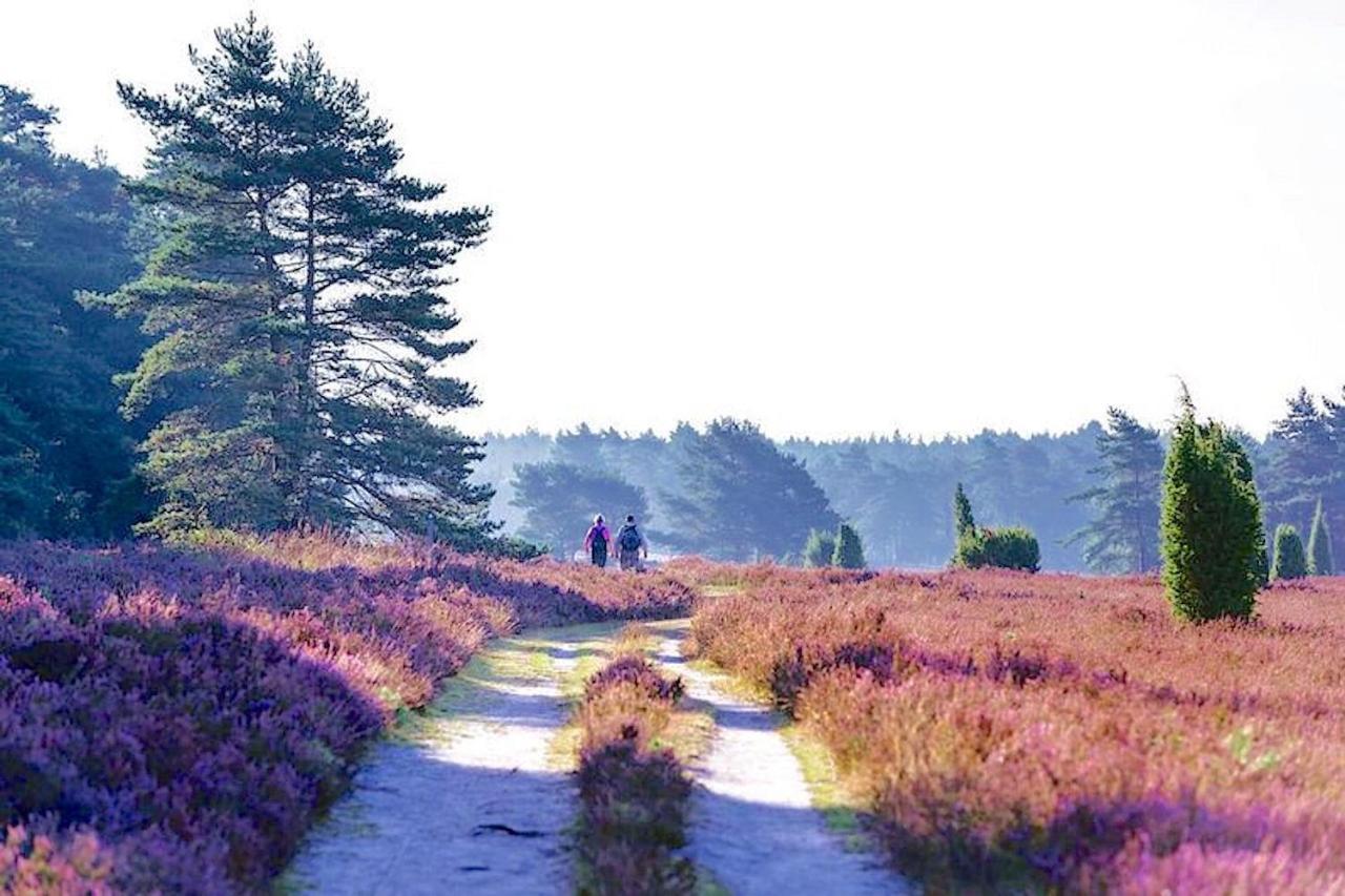 Ferienhaus Luneburger Heide Eschede Zewnętrze zdjęcie
