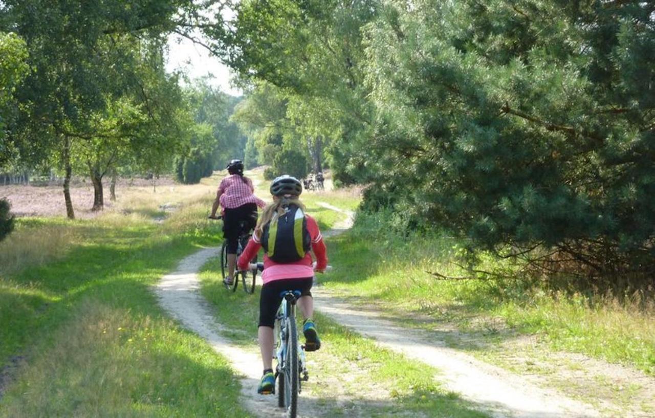 Ferienhaus Luneburger Heide Eschede Zewnętrze zdjęcie
